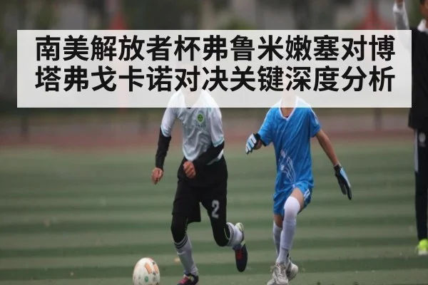 南美解放者杯弗鲁米嫩塞对博塔弗戈卡诺对决关键深度分析